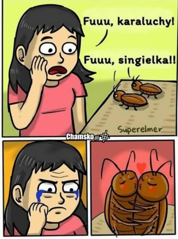 Karaluchy