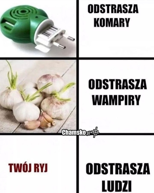 Odstraszacze