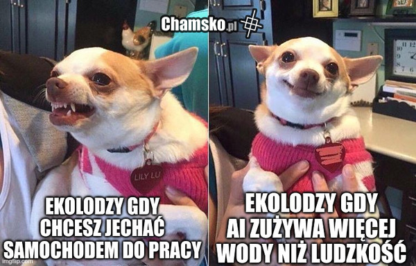 Ekolodzy