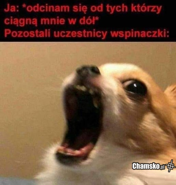 Odcięcie