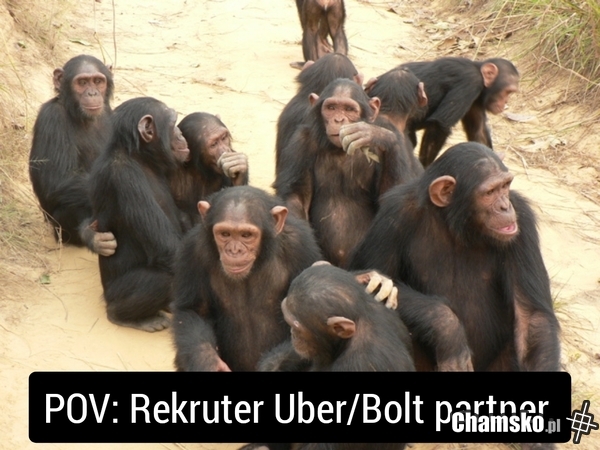 Typowy kierowca Uber w Krakowie albo Warszawie