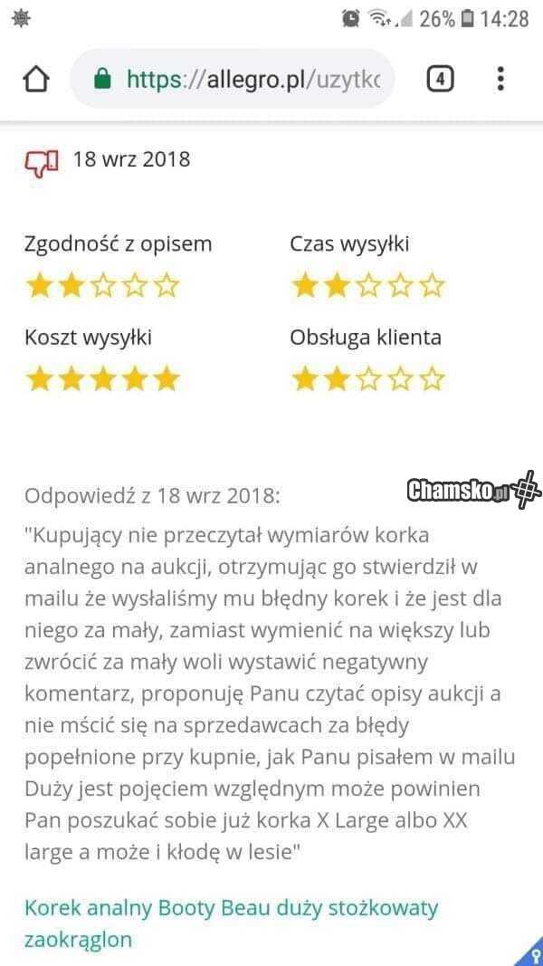 Korek analny