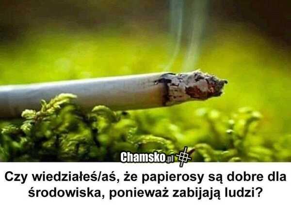 Papierosy