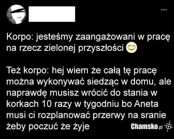 Praca w korpo
