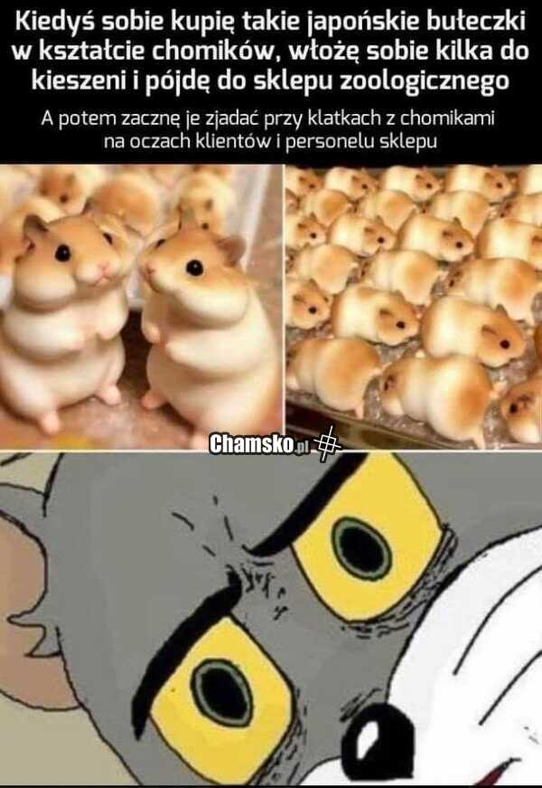 Sadystyczny plan