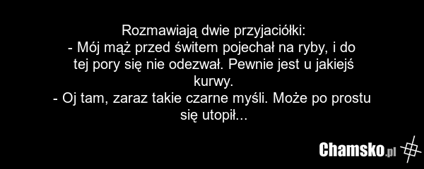 Rozmawiają dwie przyjaciółki: - Mój mąż przed świtem pojechał na ryby, i do tej pory się nie odezwał. Pewnie jest u jakiejś kurwy. - Oj tam, zaraz takie czarne myśli. Może po prostu się utopił...