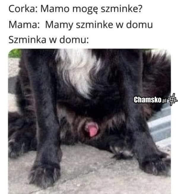 Szminka