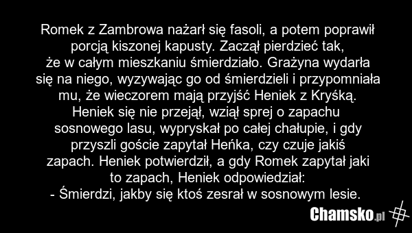 Romek z Zambrowa nażarł się fasoli, a potem poprawił porcją kiszonej kapusty. Zaczął pierdzieć tak, że w całym mieszkaniu śmierdziało. Grażyna wydarła się na niego, wyzywając go od śmierdzieli i przypomniała mu, że wieczorem mają przyjść Heniek z Kryśką. Heniek się nie przejął, wziął sprej o zapach…