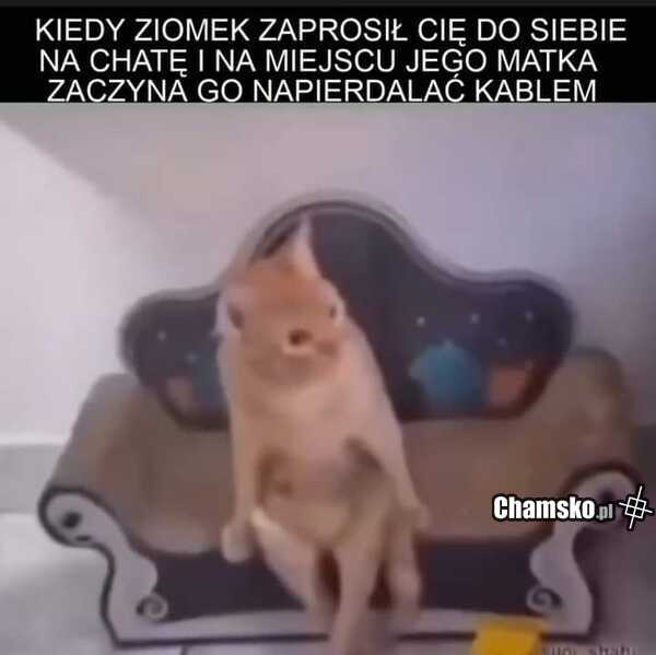 Wizyta u znajomego