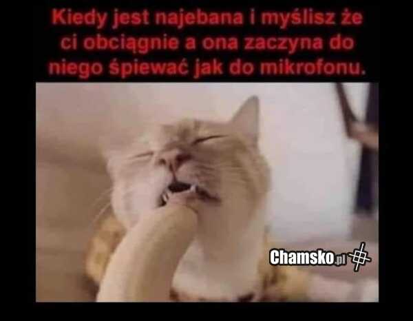 Śpiewanie
