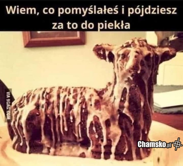 Wszyscy tutaj o tym pomyśleli...