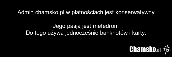 Admin chamsko.pl w płatnościach jest konserwatywny. Jego pasją jest mefedron. Do tego używa jednocześnie banknotów i karty.