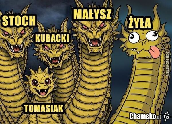 TEAM