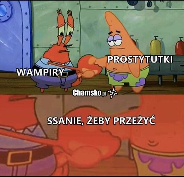 Wspólna cecha