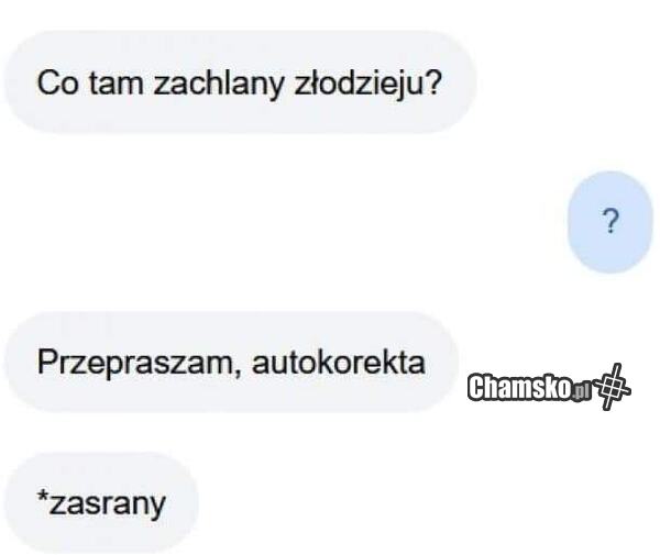 Korekta
