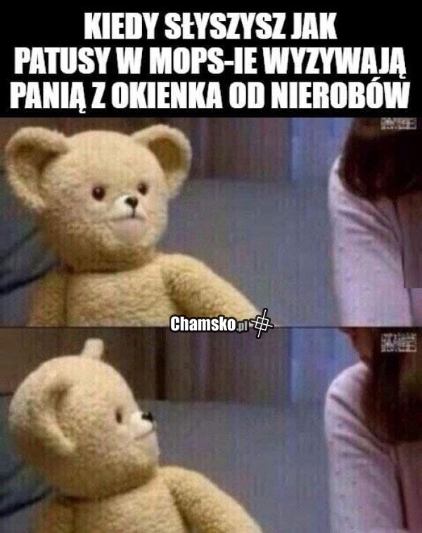 Patusy w MOPie