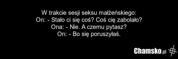 W trakcie sesji seksu małżeńskiego: On: - Stało ci się coś? Coś cię zabolało? Ona: - Nie. A czemu pytasz? On: - Bo się poruszyłaś.