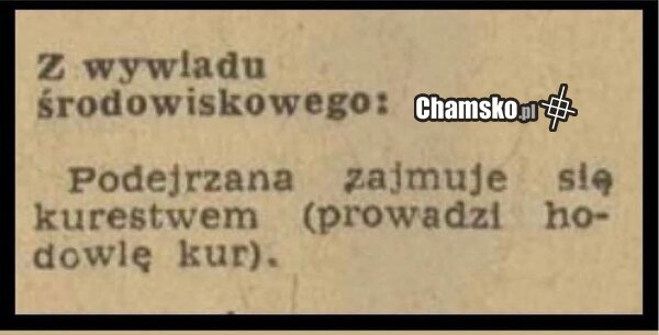 Czy się zajmujesz?