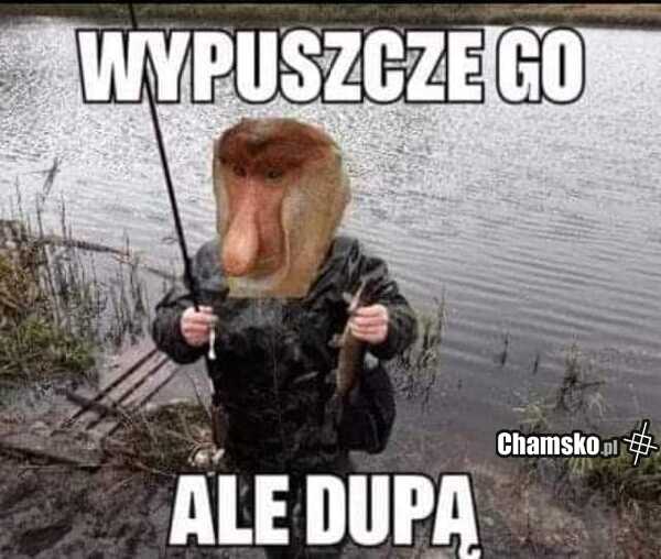 Wypuszczanie ryb