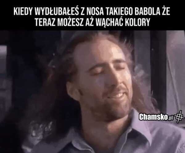 Wielki gil