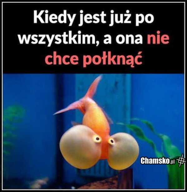 Połykanie