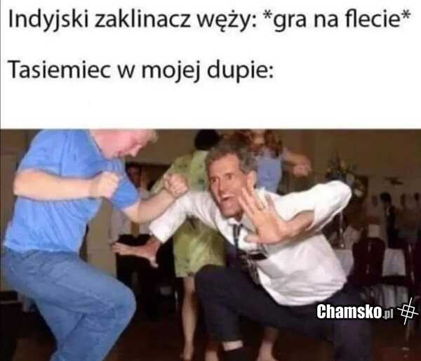 Zaklinacz węży