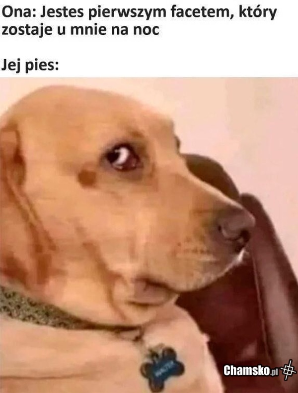 Jesteś pierwszy