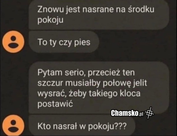 Kto nasrał?