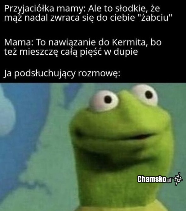 Kermit żaba