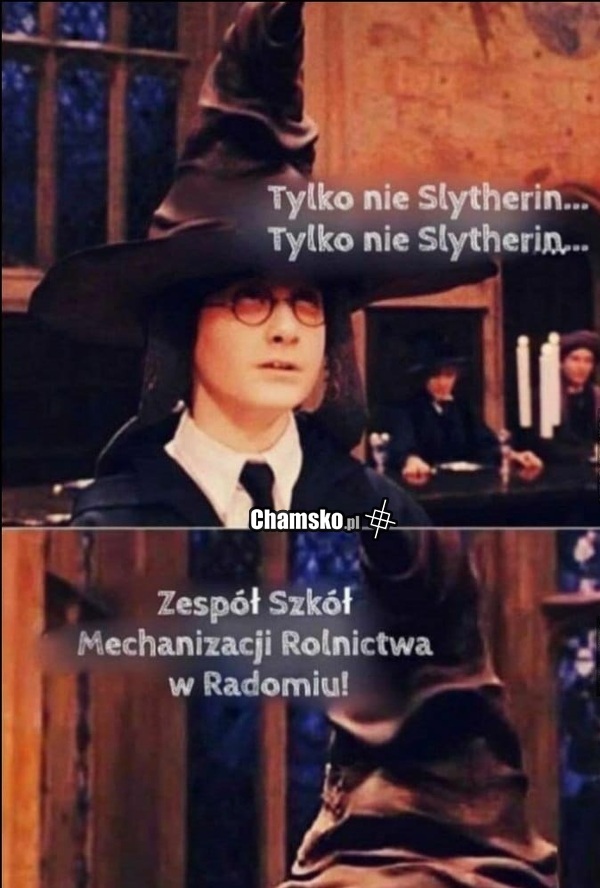 Wybór