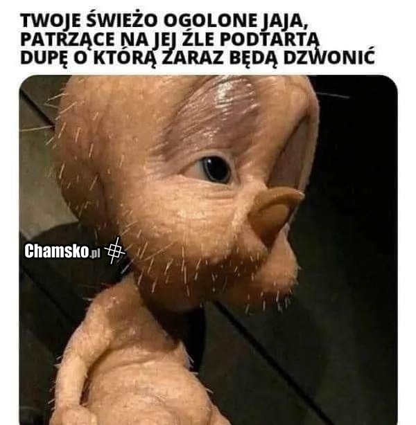 Brudna dupa
