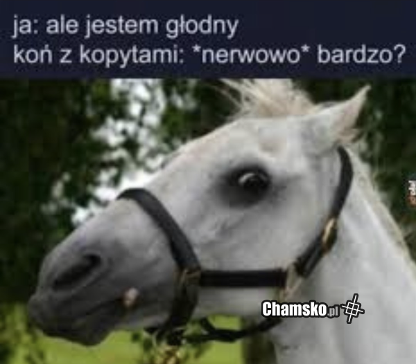 Wielki głód