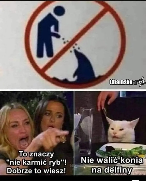 Piktogram