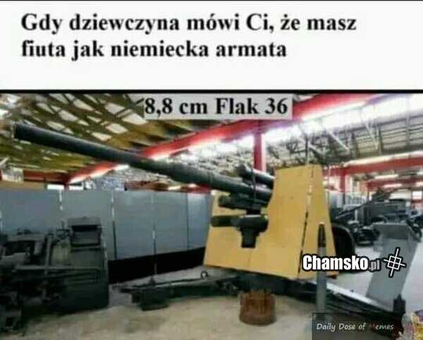Działo