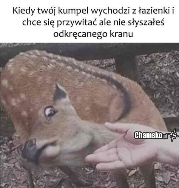 Unik