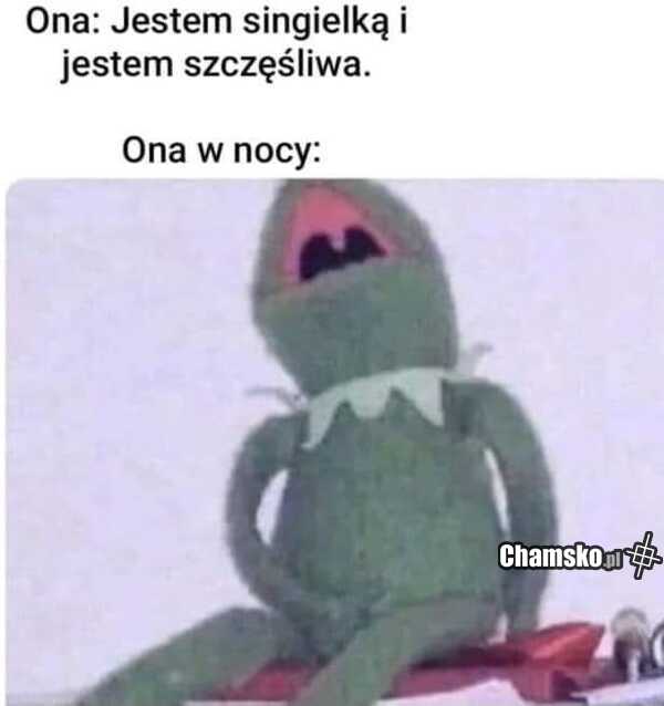 Szczęśliwa singielka