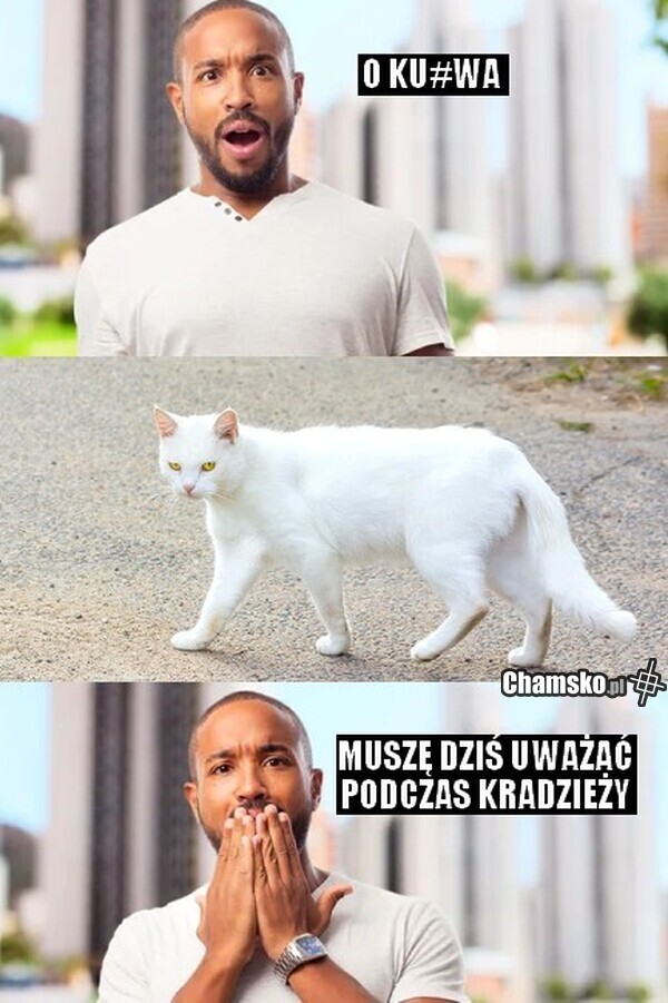 Pech