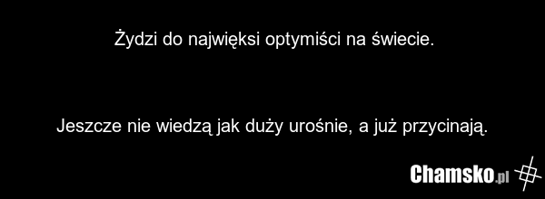 Żydzi do najwięksi optymiści na świecie. Jeszcze nie wiedzą jak duży urośnie, a już przycinają.