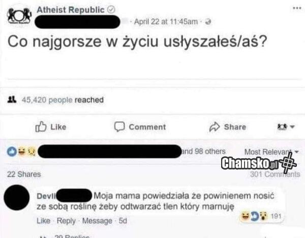 Roślinka