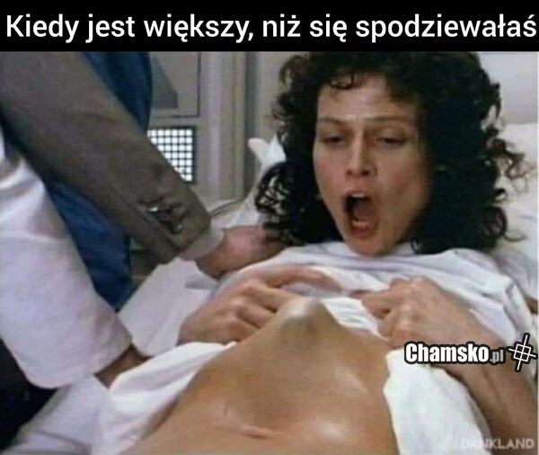 Wielki bydlak