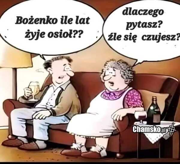 Ile lat żyje osioł?