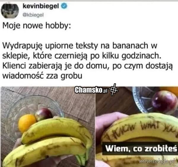 Pomysł na zabawę