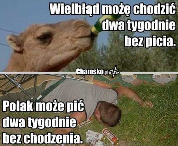 Mała różnica