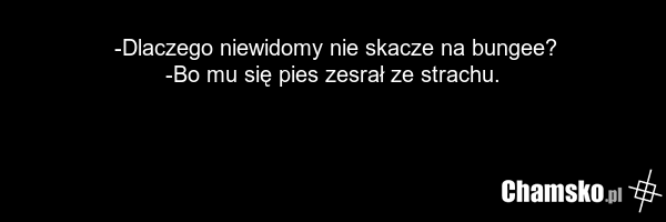 -Dlaczego niewidomy nie skacze na bungee? -Bo mu się pies zesrał ze strachu.