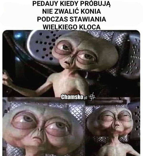 Podczas robienia kupy