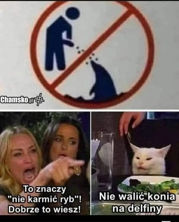 Nie walić konia na delfiny