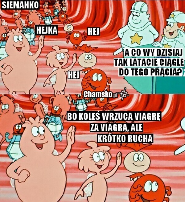 Krótkie numery