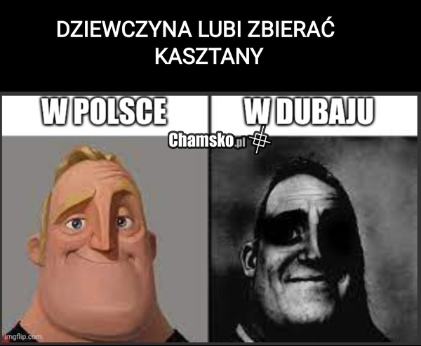 Kasztany