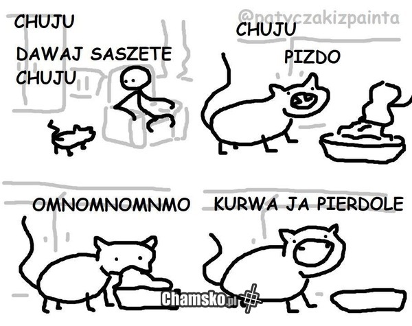 Kotek