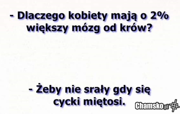 Kobiety i krowy